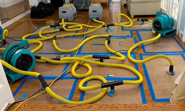 Professional Sewage Cleanup technician working in Somerset, TX